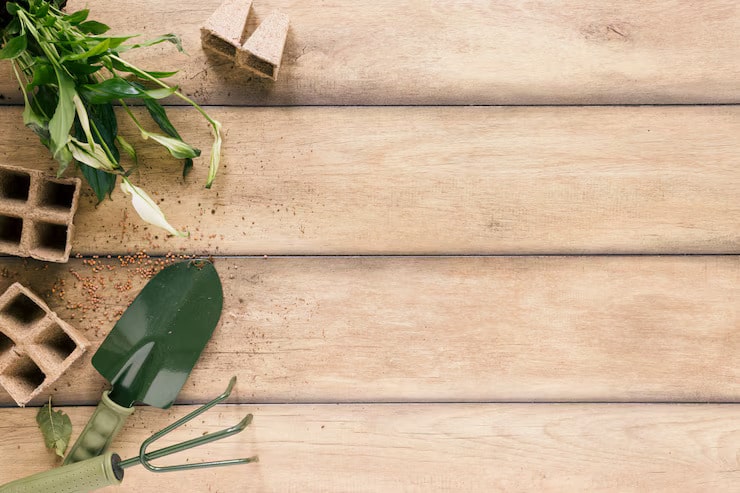 Plant Growing Kit Background
