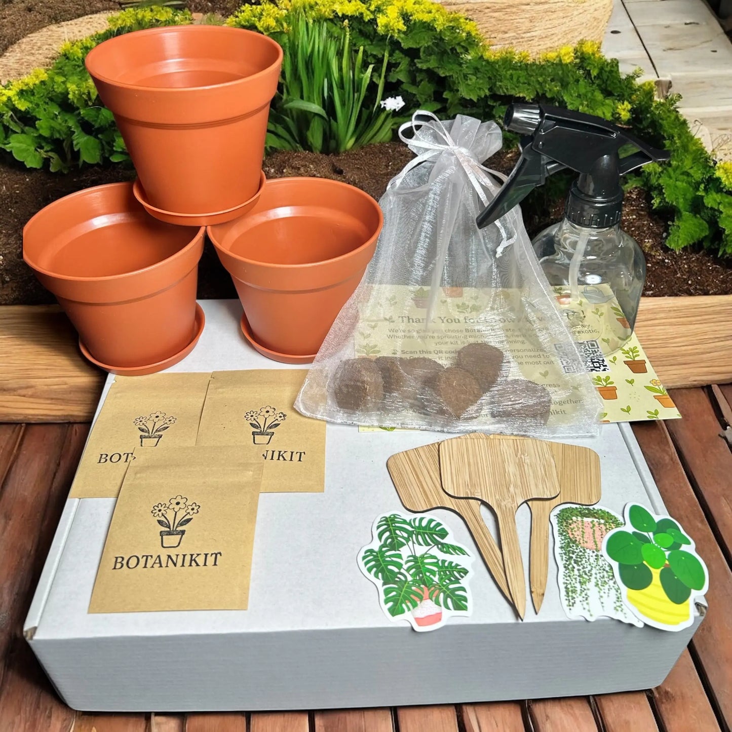Fancy Plants Kit Botanikit