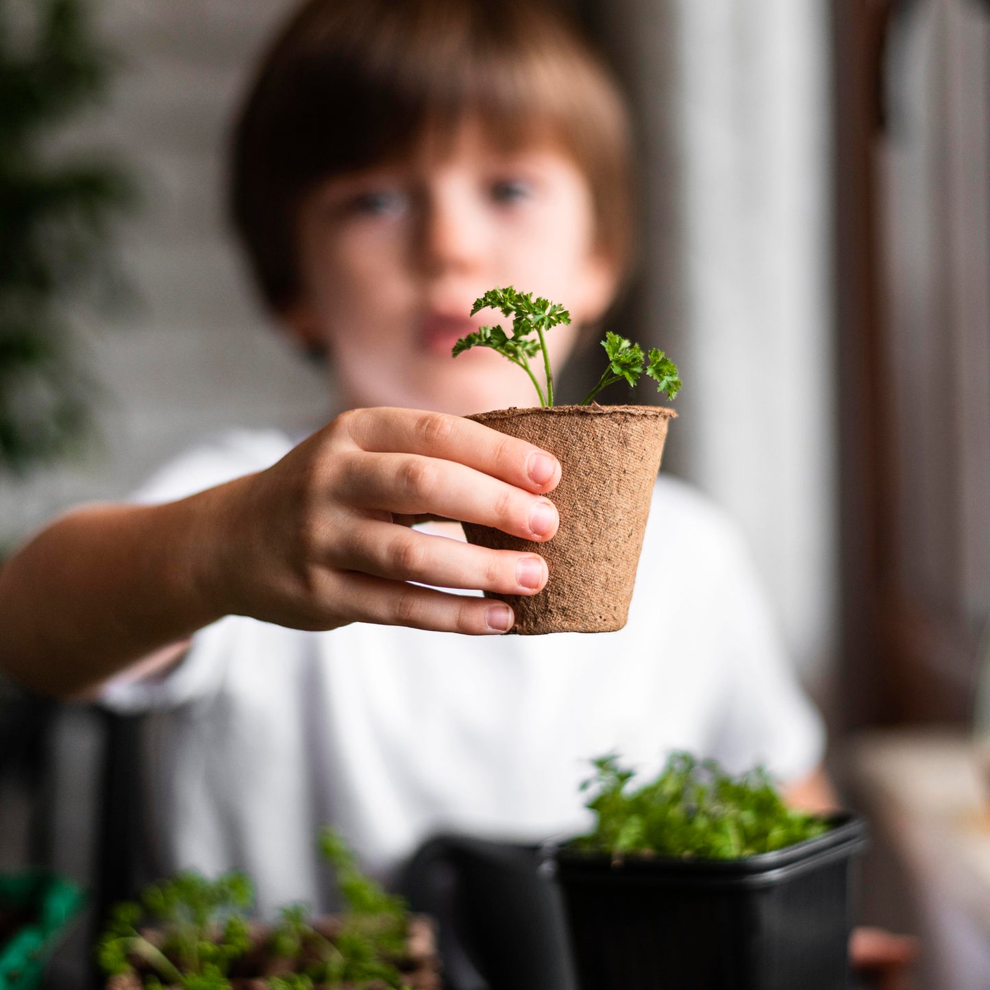 Kids Grow Kit